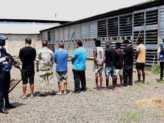 Tráfico e mineração de criptomoedas resultam na detenção de mais de 200 chineses em Angola