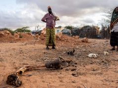 Fome em Quênia: Mais de 300 mil pessoas viverão com estomago vazio no campo de refugiados de Kakuma